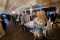 IMG-20260608-WA0093