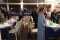 IMG-20260615-WA0044